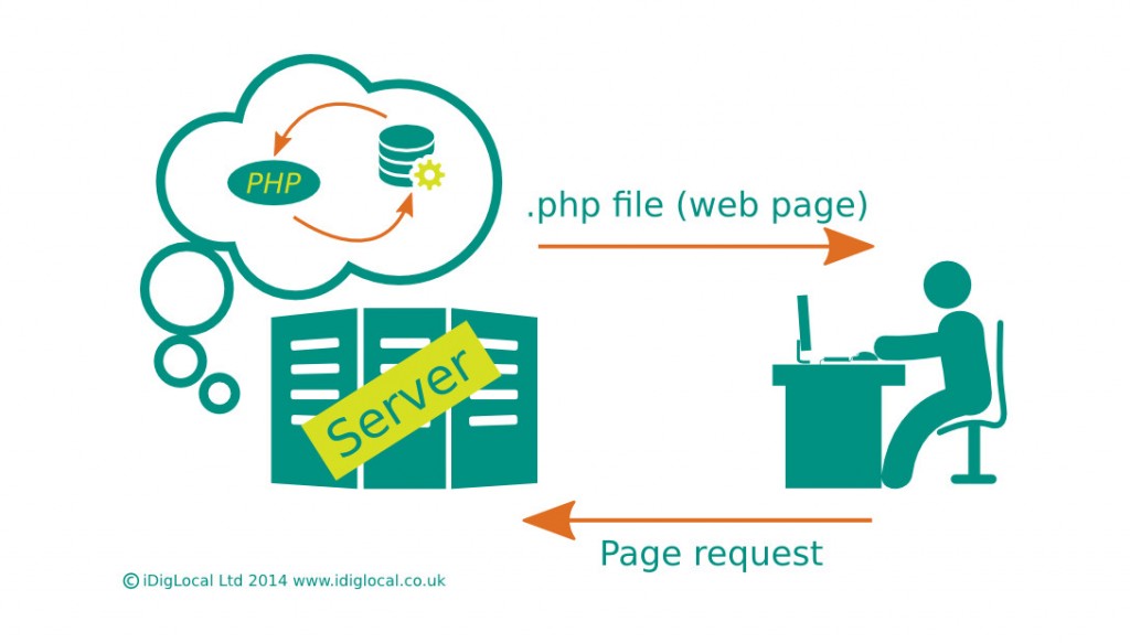 The difference between dynamic and static website content