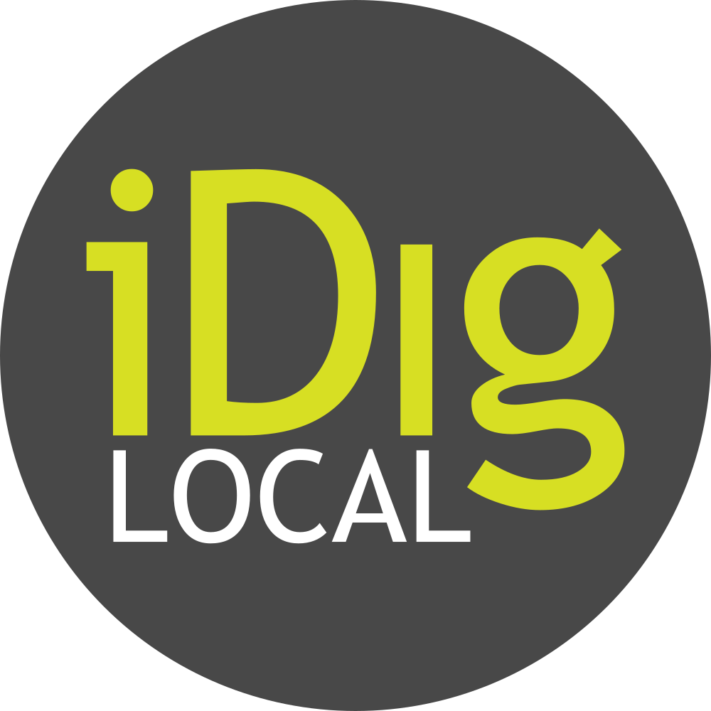 iDigLocal Web Design and Hosting